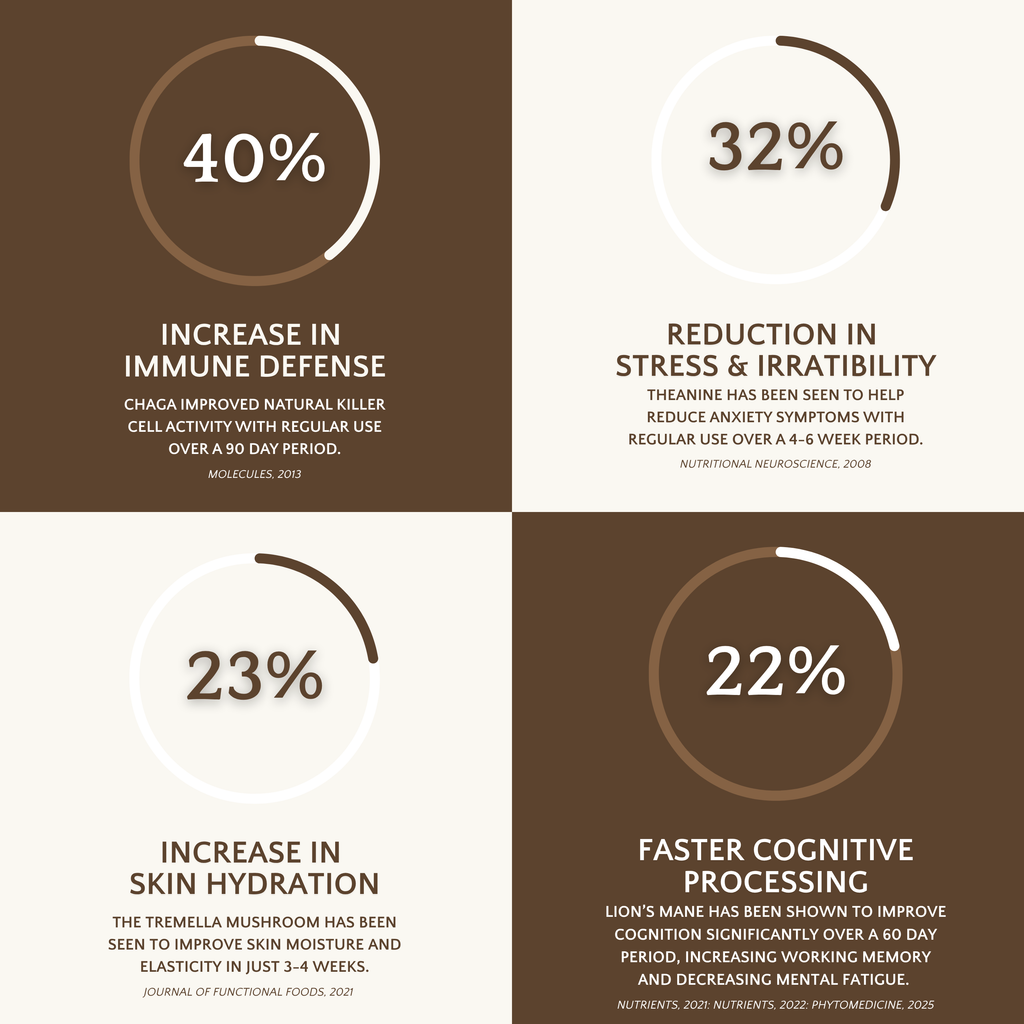 Kaizen Coffee - Premium Organic Coffee with Mushrooms, Nootropics, Sea Moss and Cacao: Stick Packs